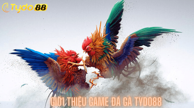 Giới thiệu game đá gà Tydo88